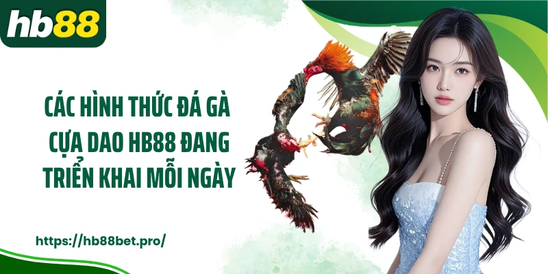 Các hình thức đá gà cựa dao HB88 đang triển khai mỗi ngày