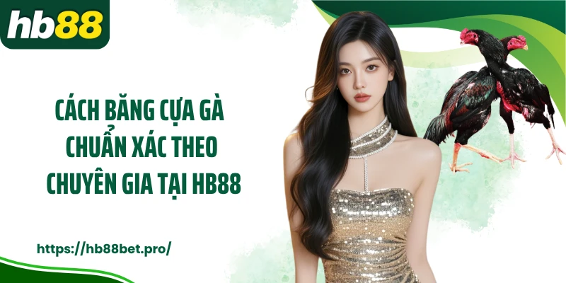 Cách băng cựa gà chuẩn xác theo chuyên gia tại HB88