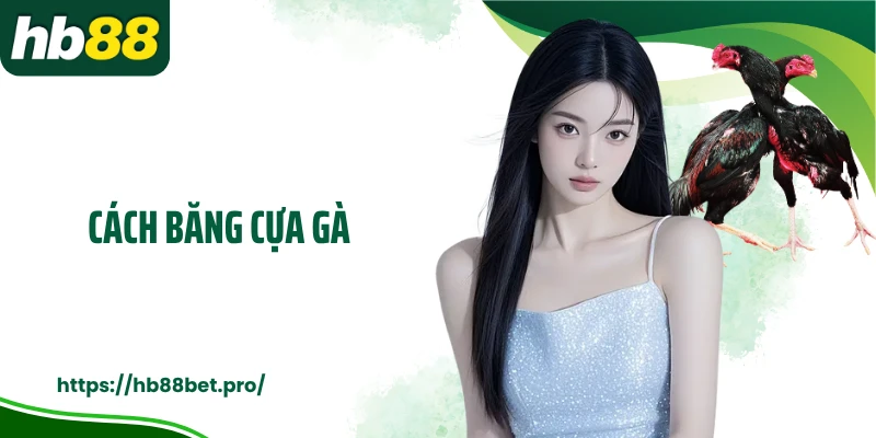 Cách Băng Cựa Gà: Kiến Thức Hữu Ích Tại HB88 Theo Chuyên Gia