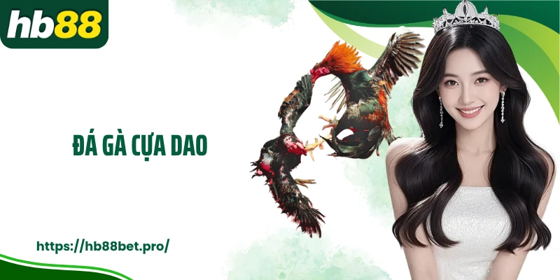 Đá Gà Cựa Dao: Giải Trí Đấu Kê Mãn Nhãn Tại Nhà Cái HB88