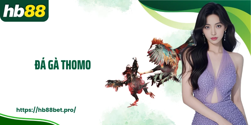 Đá Gà Thomo: Săn Thưởng Cá Cược Cùng Những Chiến Kê Đẳng Cấp