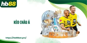 Kèo Châu Á: Cách Đọc Kèo Chuẩn Và Mẹo Hay Cá Độ Tại HB88