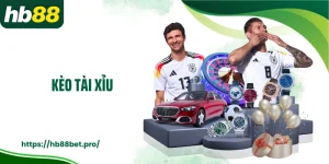 Kèo Tài Xỉu Và Kiến Thức Cá Độ Bóng Đá HB88 Chuẩn Nhất