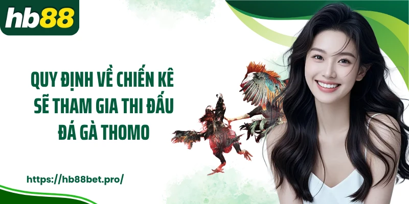 Quy định về chiến kê sẽ tham gia thi đấu đá gà Thomo