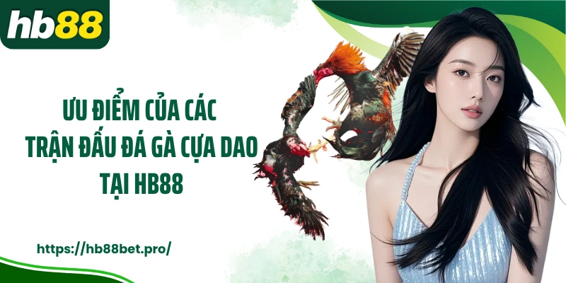 Ưu điểm của các trận đấu đá gà cựa dao tại HB88